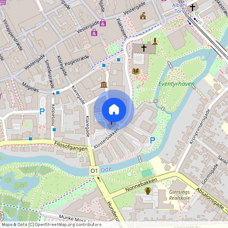 2. 5, Munkemøllestræde 20, 5000, Odense C