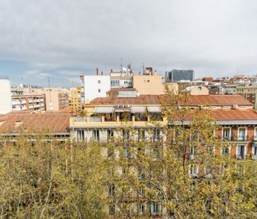 Bright room in Alberto Aguilera - Photo 5