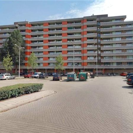 Appartement 2 Personnes avec Balcon à Dr Hermansweg 24, Eindhoven - À Louer - Foto 3