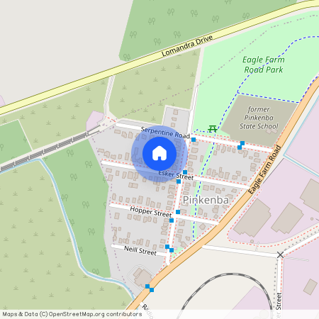 51 Esker Street, Qld 4008, Pinkenba