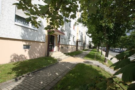 Gemütliche 2-Raum-Wohnung in Lusan - Photo 5