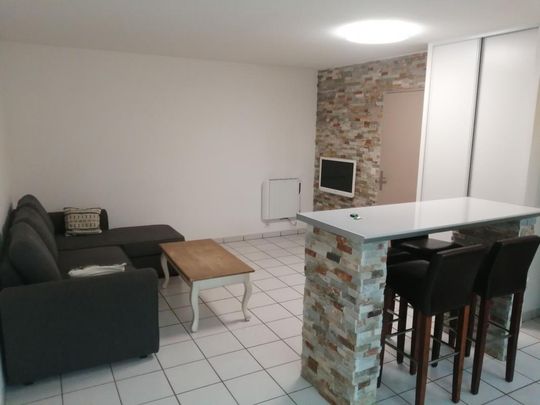 Location Appartement 2 pièces Meublé 45m² ST PIERRE DU MONT 40280 - Photo 1