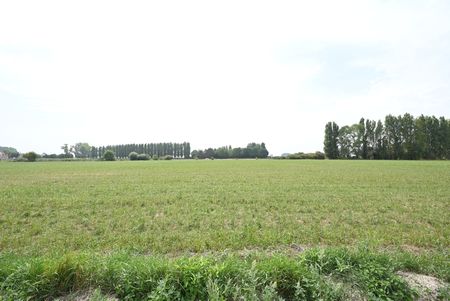 NIEUWBOUW gelijkvloers appartement met ZONNIG terras & tuin - Photo 5