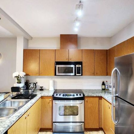 COQUITLAM Fantastic Elegant 1 bed 1 bath furnished apartment - Photo 4