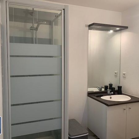 Location Appartement 1 pièce 32m² TRELAZE 49800 - Photo 3