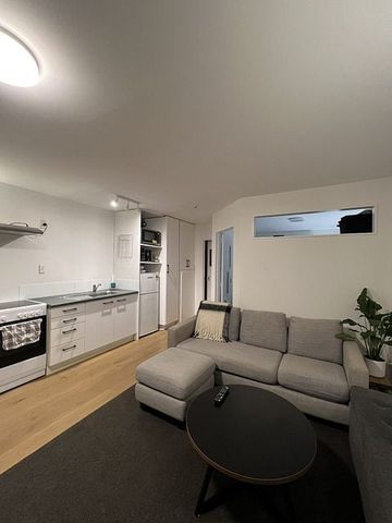 1 Bed, 1 Bath Unit in Newton With carpark! - Photo 3