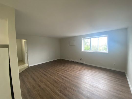 One Bedroom Apartment - Photo 1