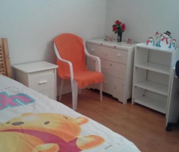 334 Chester Le Boulevard #MAIN - Photo 6