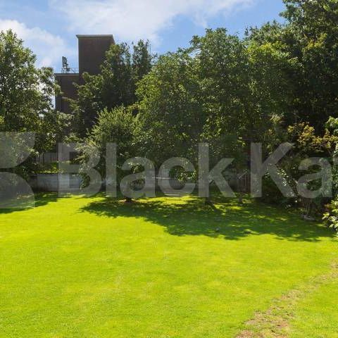 Very large one bedroom property with high ceilings located close to Tufnell Park - Photo 2