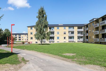 Afd. 24 Ungskuepladsen - Foto 2