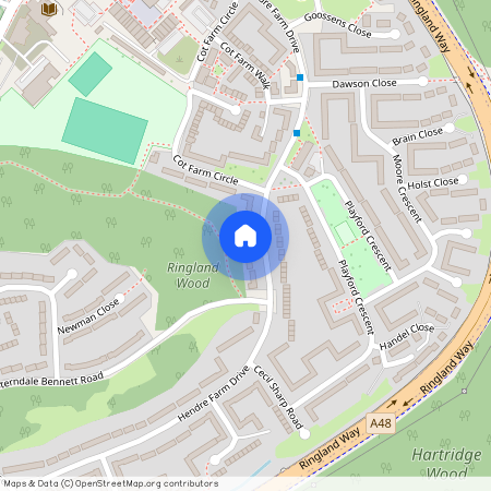 Hendre Farm Drive Newport NP19 9HT