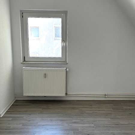 NEU NEU NEU! - Foto 3