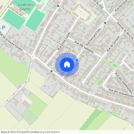 Rue Fernand Felu, 42, 11, 7800, Ath