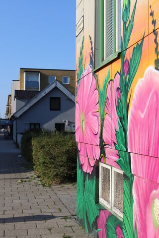 Aspgatan, Malmö - Photo 4