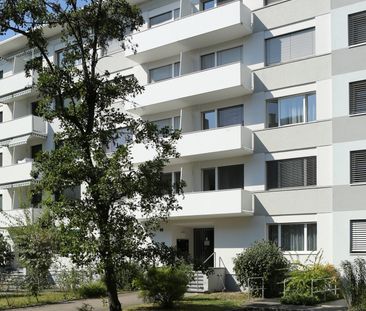 Renovierte 3-Zimmerwohnung an ruhiger Lage - Foto 5