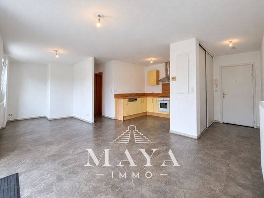 Location Appartement 3 pièces 70m² ALTKIRCH 68130 - Photo 1