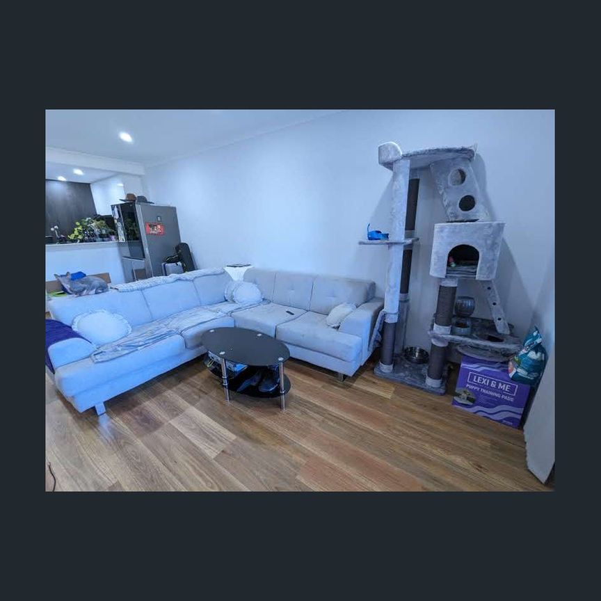 Top Locale. Walk to Everything! Ultra-convenient life style - Photo 1