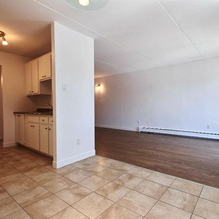 TRÈS GRAND 4 ½ -RÉNOVÉ LIMOILOU - 1245$/MOIS (CHAUFFÉ-EAU CHAUDE) - À PARTIR DE OCTOBRE OU NOVEMBRE - Photo 3