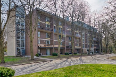 The Winchester - Photo 4