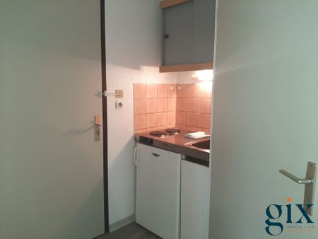 Location Appartement 1 pièce 19m² GRENOBLE 38100 - Photo 2