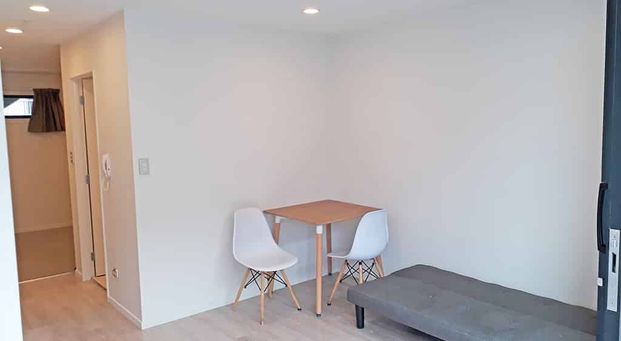 Near New One Bedroom Apartment in Central City - Photo 1