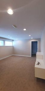 2 bedroom + 2 bathroom & Den basement suite rental - South Slope - Photo 3