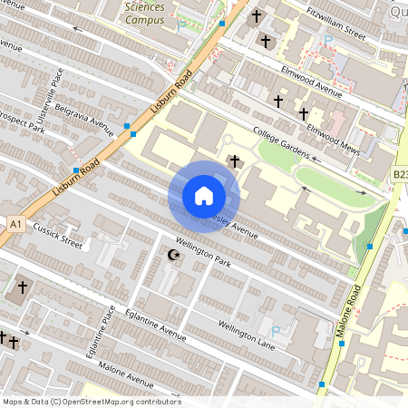 81 Wellesley Avenue, Belfast BT9 6DH, Belfast