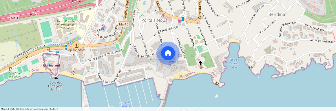 3 Carrer Alemania, Portals Nous, Balearic Islands 07181, Portals-Nous