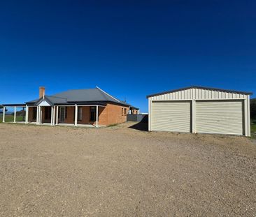 1109 Black Range Road, Bowning NSW 2582 - House For Rent | Domain - Photo 4