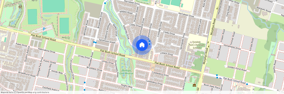 58 Killarney Drive, Flat Bush, Manukau City