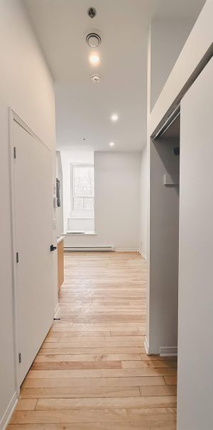 1 CH - 1 SDB - Montréal - $1,195 /mo - Photo 2