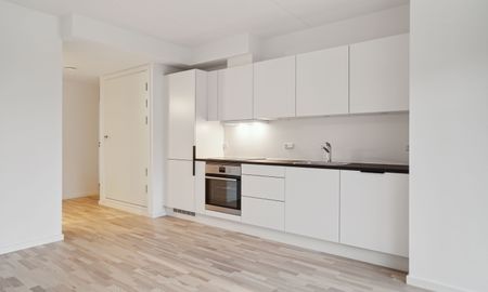 Egedal Stationsby - Dejlig 2 vær. lejebolig med hele to altaner - Photo 3