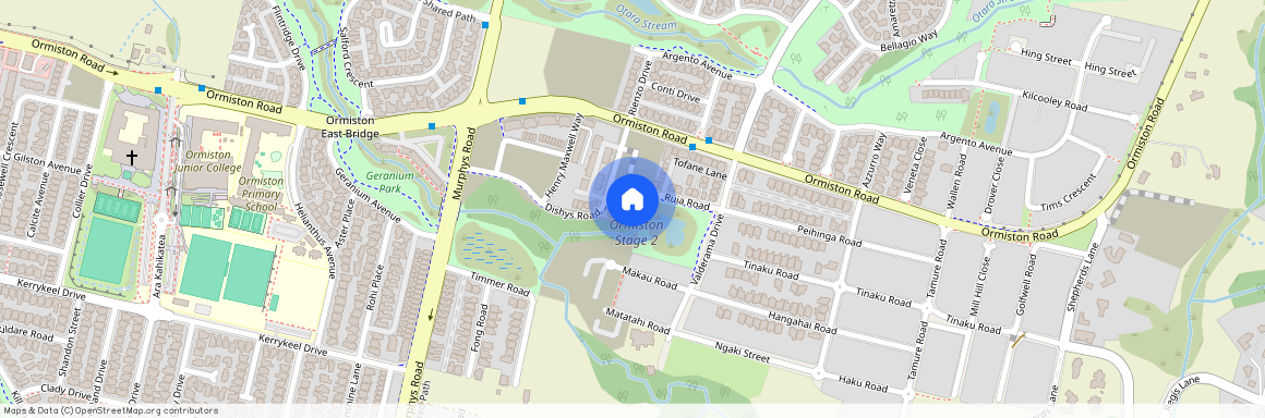 8 Serpent road, Flat Bush, Manukau City