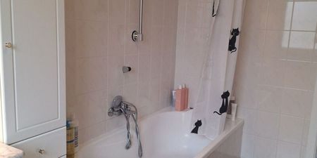 Duplex te huur in Zolder voor € 745 met 2 slaapkamers - Photo 3