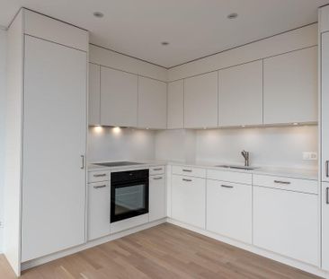 Top moderne Wohnung im Kreis 9, Zürich Albisrieden - Photo 3