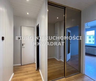 Rybnik, Śródmieście - Zdjęcie 5