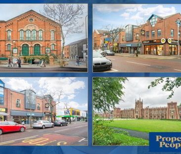 3, 74 University Street, Belfast, BT7 1HB - Photo 3