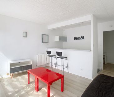 Location-Studio calme avec parking et jardin-Hôpitaux Facultés - Photo 1