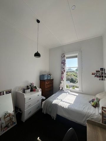 5 bedrooms 2 bathroom in city Thorndon - backyard - Photo 5