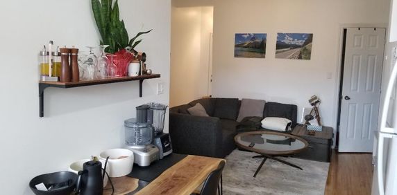 Beau logement 4½ rénové récemment, dans Rosemont-La-Petite-Patrie, près de la piste cyclable et du Plateau Mont-Royal - Photo 2