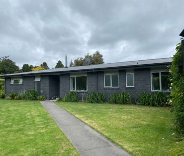 Stunning Family Home in Wairoa Minden - Photo 5