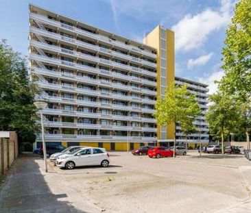 De Koppele 5632 LE Eindhoven - Photo 3