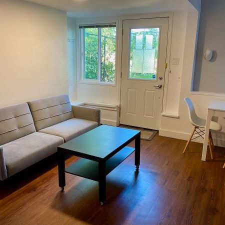 Fully furnished 1 bedroom garden suite near UVic - available April 1 - Photo 1