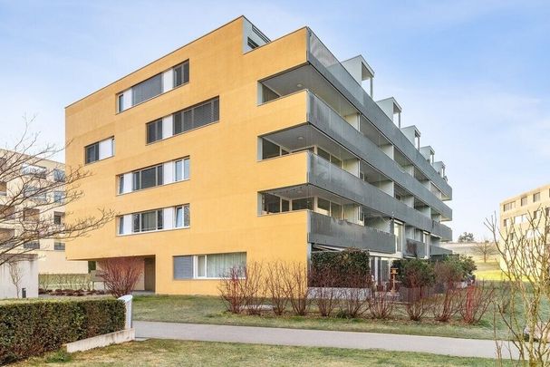 Vivre près de la nature aux portes de Zurich - Foto 1