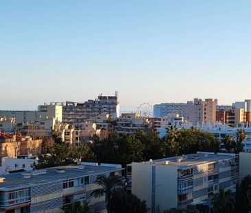 Piso de alquiler en Avenida Carlota Alessandri, 184, Montemar - Photo 6