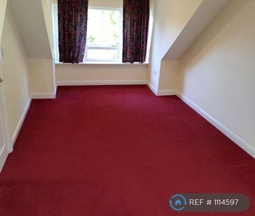 3 bedroom detached house to rent - Photo 3
