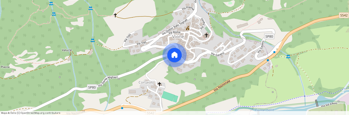 Via Tomasi, 21, Vione