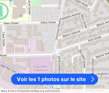 Villa Apartments | 788-790 Dominion Road, Victoria - Photo 1