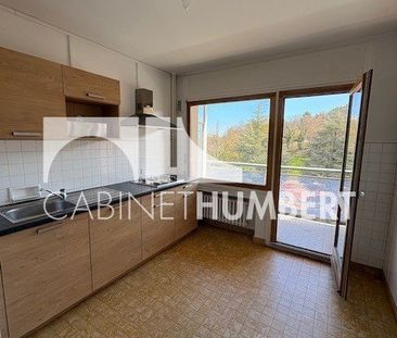 Location Appartement 1 pièce 32m² ST ETIENNE 42000 - Photo 4