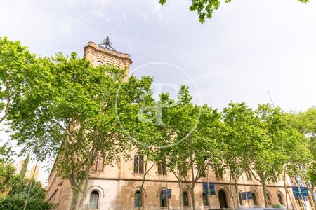 Furnished apartment for rent on Aribau Street (Eixample Esquerra) - Photo 2